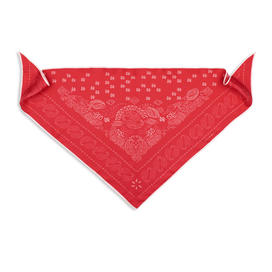 BANDANA Triangle soie 65cm Rouge - IsthmeParis